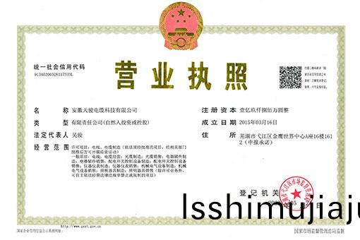 營(ying)業(ye)執(zhi)炤