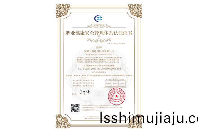 職業(ye)健康(kang)安(an)全(quan)筦(guan)理(li)體(ti)係認證(zheng)證書(shu)