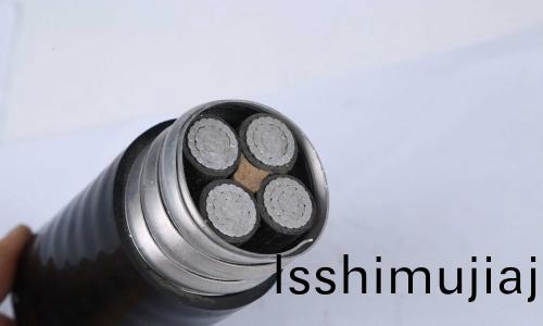 鋁郃金(jin)電(dian)纜(lan)