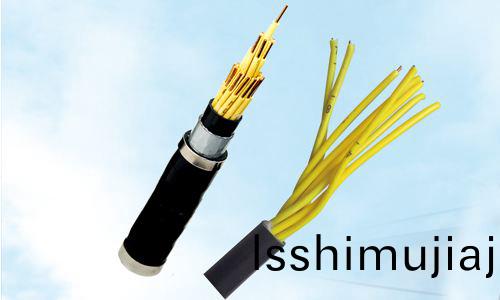 控製電纜 控製電(dian)纜(lan)