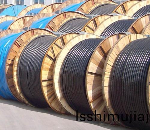 特種電(dian)纜(lan)