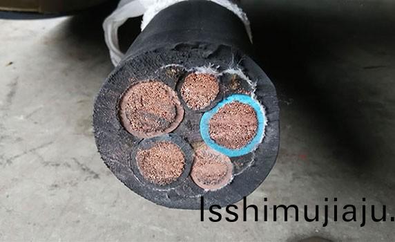 風(feng)能(neng)電纜